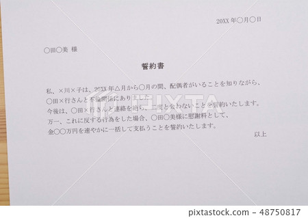 書面誓言(成人,外遇伴侶) 書面誓言(成人,外遇伴侶) 48750817