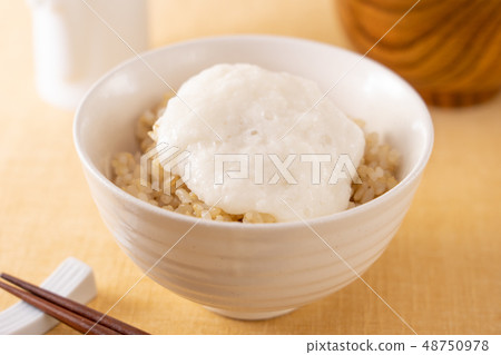 飯糰 飯糰 48750978