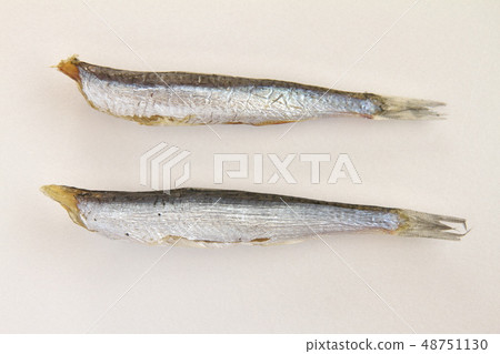 Maru-no-ri, a seaweed sardine in Kujukuri, Chiba Prefecture Maru-no-ri, a seaweed sardine in Kujukuri, Chiba Prefecture 48751130