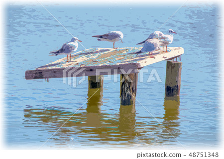 Waterbird rest 48751348