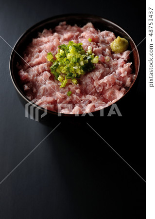 金槍魚和蔥的金槍魚金槍魚 48751437