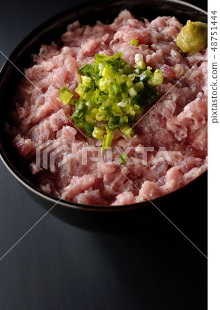 金槍魚和蔥的金槍魚金槍魚 48751444