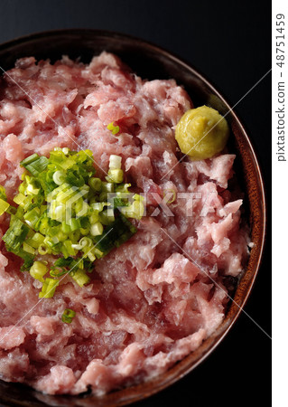 金槍魚和蔥的金槍魚金槍魚 48751459