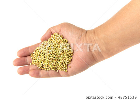 Buckwheat noodles 48751539