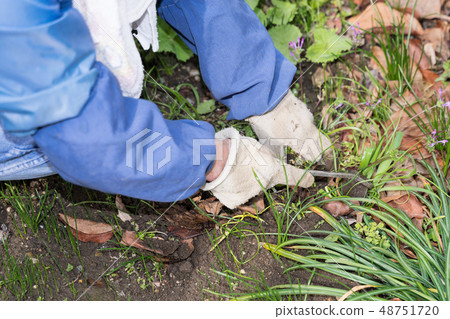 Weeding the garden Weeding the garden 48751720