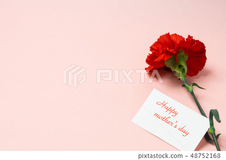 [Mother's Day] Carnation and message card 48752168