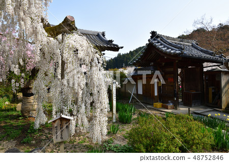 從Oonoji 從Oonoji 48752846