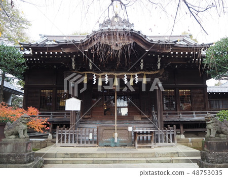 Hakusan Shrine 48753035