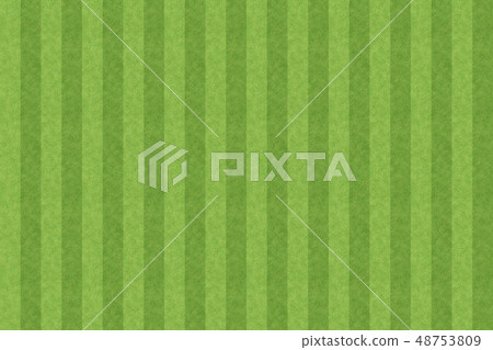 無縫淡綠色條紋草坪圖案 48753809