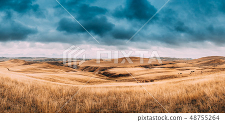 Gareja Desert, Kakheti Region, Georgia. Autumn Landscape Near Sagarejo Municipality, Kakheti Region Gareja Desert, Kakheti Region, Georgia. Autumn Landscape Near Sagarejo Municipality, Kakheti Region 48755264