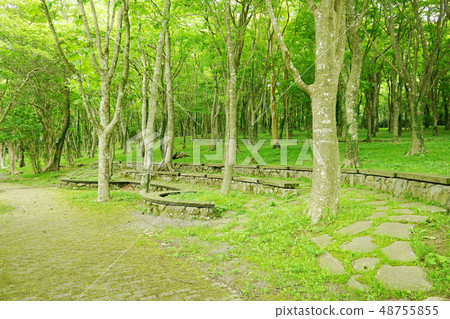 Lakeside interaction garden fresh green 48755855