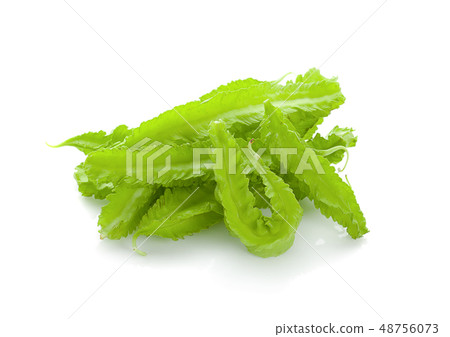 winged bean on white background 48756073