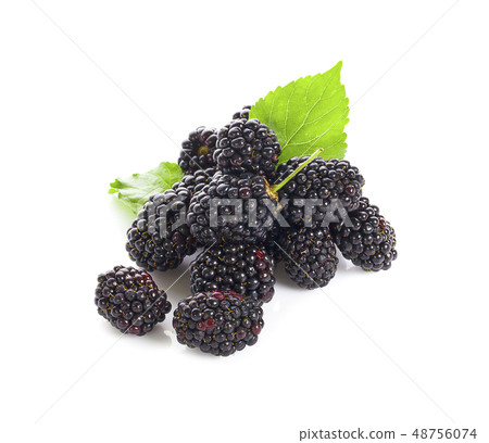Blackberries isolated on white background. Blackberries isolated on white background. 48756074