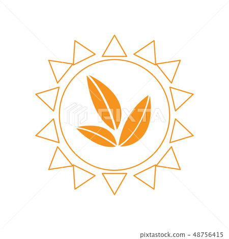 Leaves in an abstract sun 48756415
