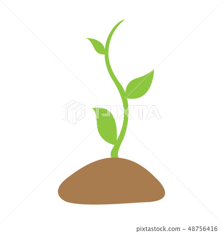 Isolated plant image 48756416