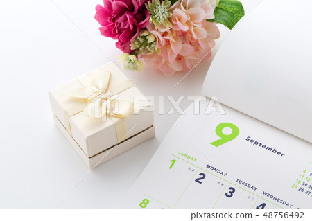  禮物 48756492