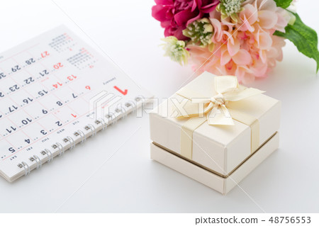 Present Present 48756553