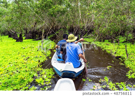 traveler sightseeing over the traditional  boat in tra su forest, Mekong Delta travel, vietnam 48756811