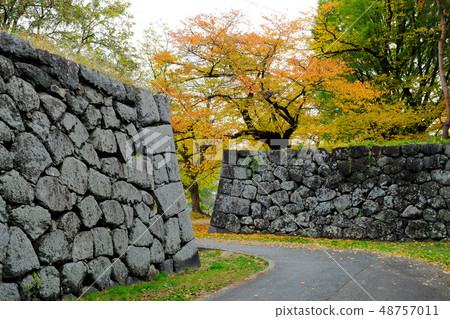 秋葉的山形Jyoen 48757011