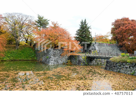 Yamagata Jyoen of autumn leaves 48757013