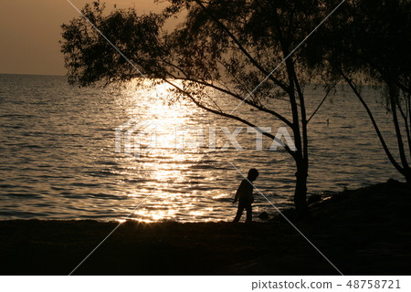 Setting sun 48758721