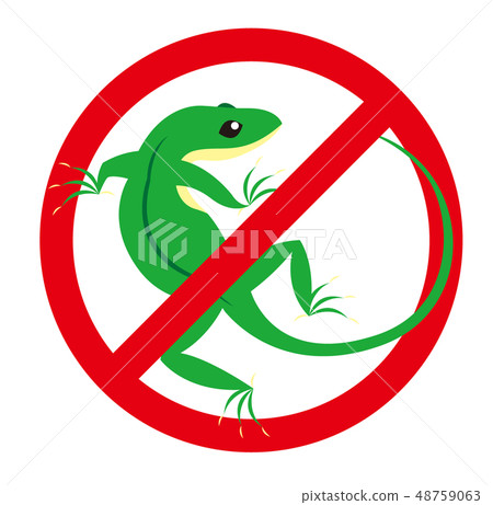 Green anol illustration Green anol illustration 48759063