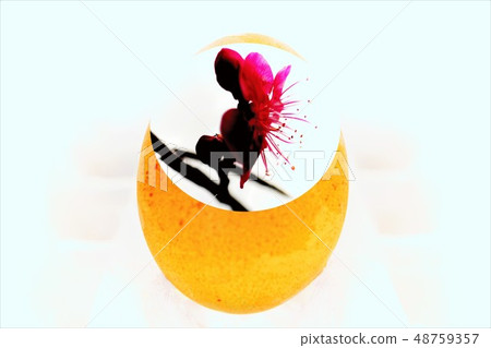 Easter eggs Easter eggs 48759357