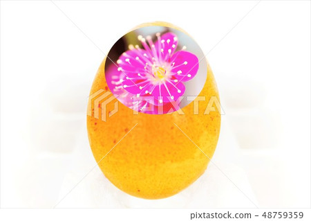 Easter eggs Easter eggs 48759359