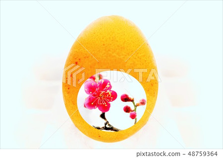 Easter eggs Easter eggs 48759364