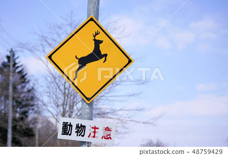 Road sign animal attention 48759429