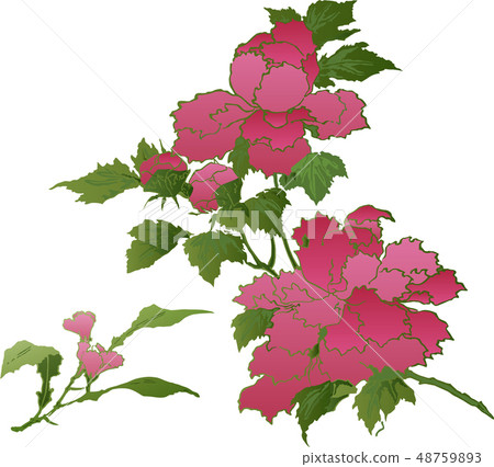 Ukiyoe flower part 1 Ukiyoe flower part 1 48759893