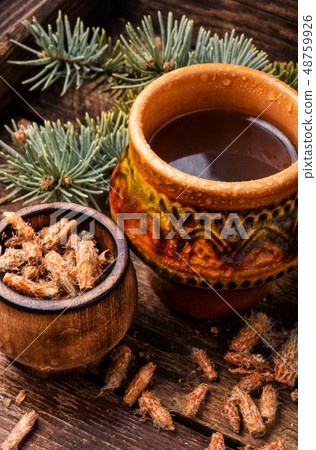 Tea with pine buds Tea with pine buds 48759926