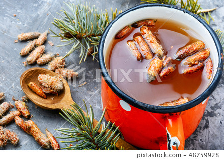 Tea with pine buds Tea with pine buds 48759928