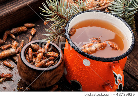 Tea with pine buds 48759929