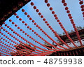 Chinese Lanterns 48759938
