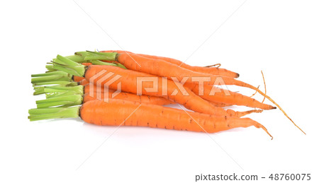 Carrot isolated  on white background 48760075