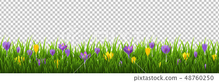 Flowers Frame With Grass Transparent Background 48760250