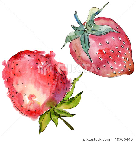 Strawberry healthy food in a watercolor style isolated. Watercolor background set. Isolated berry Strawberry healthy food in a watercolor style isolated. Watercolor background set. Isolated berry 48760449