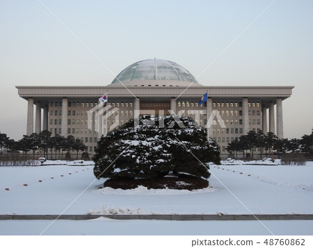 National Snow Festival 48760862