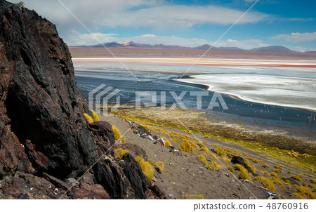 Laguna colorada with flamingos in the distance 48760916