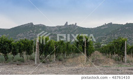 View of the mountains and the valley with View of the mountains and the valley with 48761410