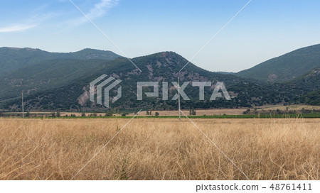 Field of dry yellow grass Field of dry yellow grass 48761411