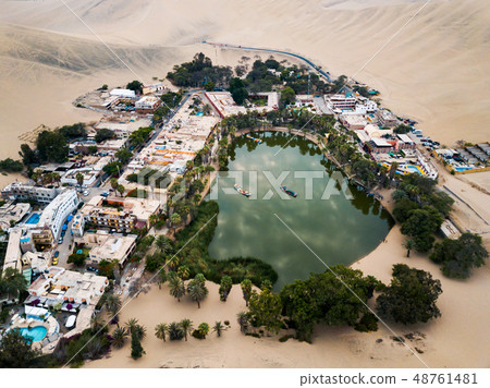Desert oasis aerial landscape 48761481