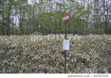 巴士站北海道 48762489