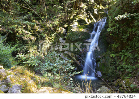 Moss waterfall (Nara city, Nara Prefecture) Moss waterfall (Nara city, Nara Prefecture) 48764824