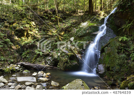 Moss waterfall (Nara city, Nara Prefecture) 48764839