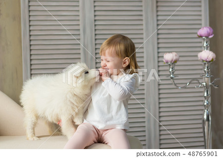 Portrait of blond baby girl play with husky puppy. 48765901