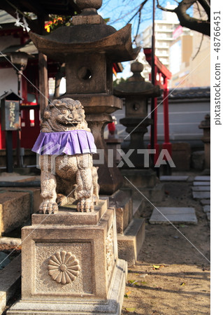 Honsumiyoshi Shrine Shiba Inu Honsumiyoshi Shrine Shiba Inu 48766451