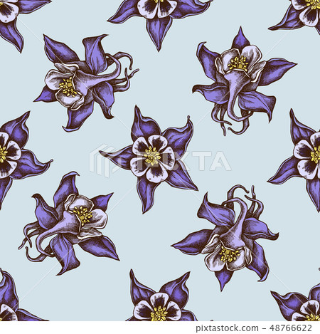 Seamless pattern with hand drawn colored aquilegia 48766622