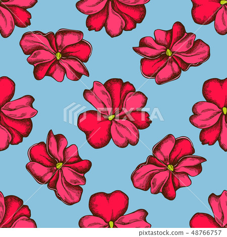 Seamless pattern with hand drawn colored impatiens Seamless pattern with hand drawn colored impatiens 48766757